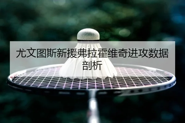 尤文图斯新援弗拉霍维奇进攻数据剖析